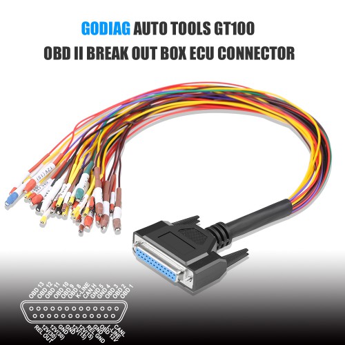 DB25 Jumper Cable
